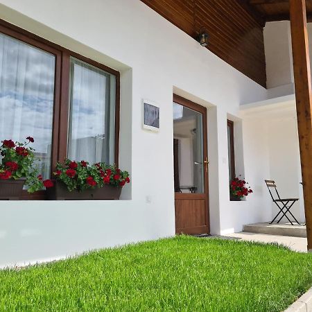 Apartmán The Cozy Bunker Sibiu Exteriér fotografie
