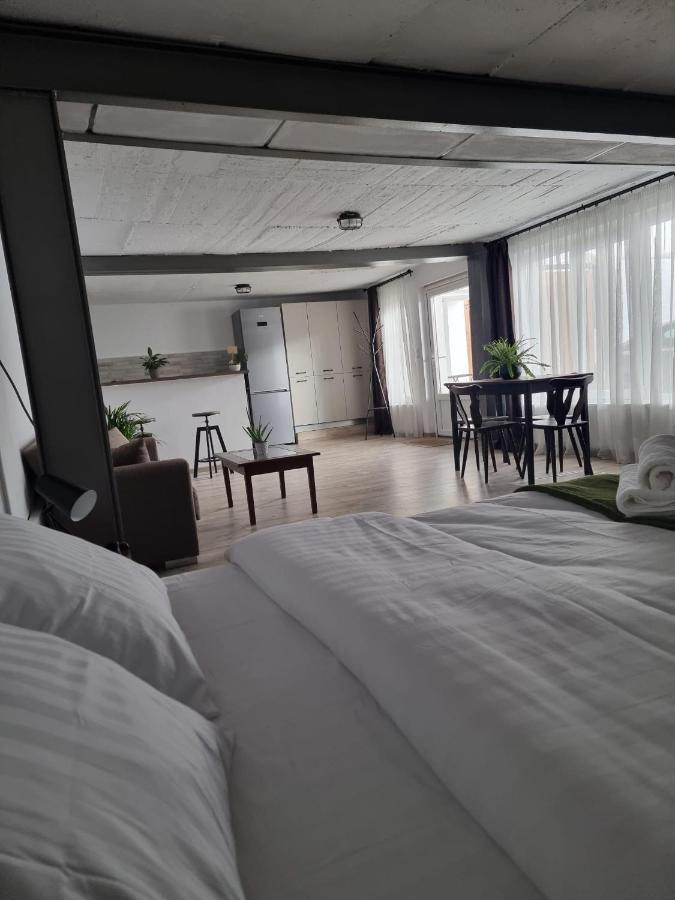 Apartmán The Cozy Bunker Sibiu Exteriér fotografie