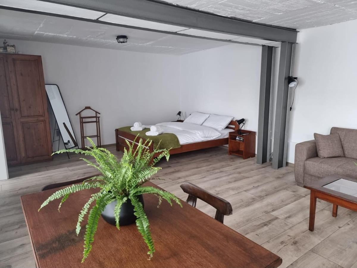 Apartmán The Cozy Bunker Sibiu Exteriér fotografie