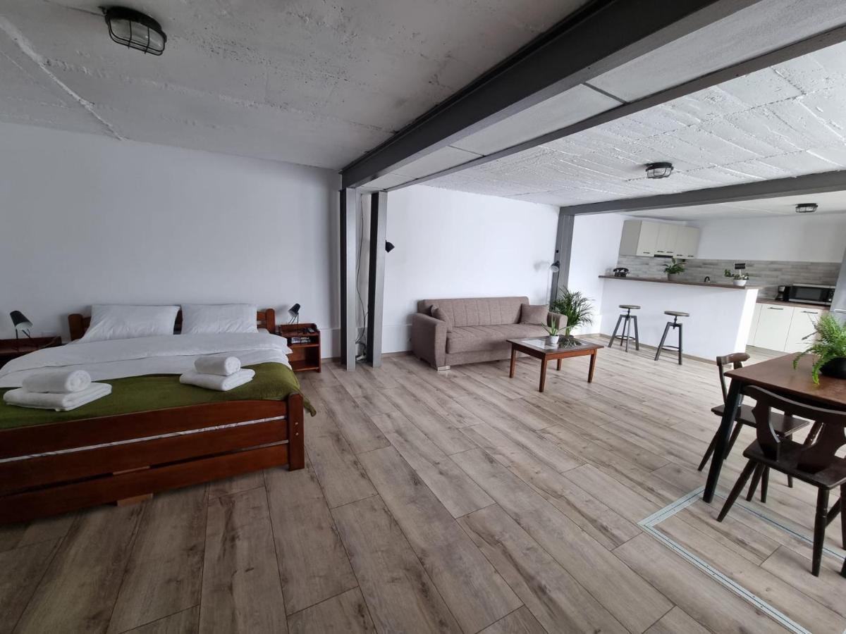 Apartmán The Cozy Bunker Sibiu Exteriér fotografie