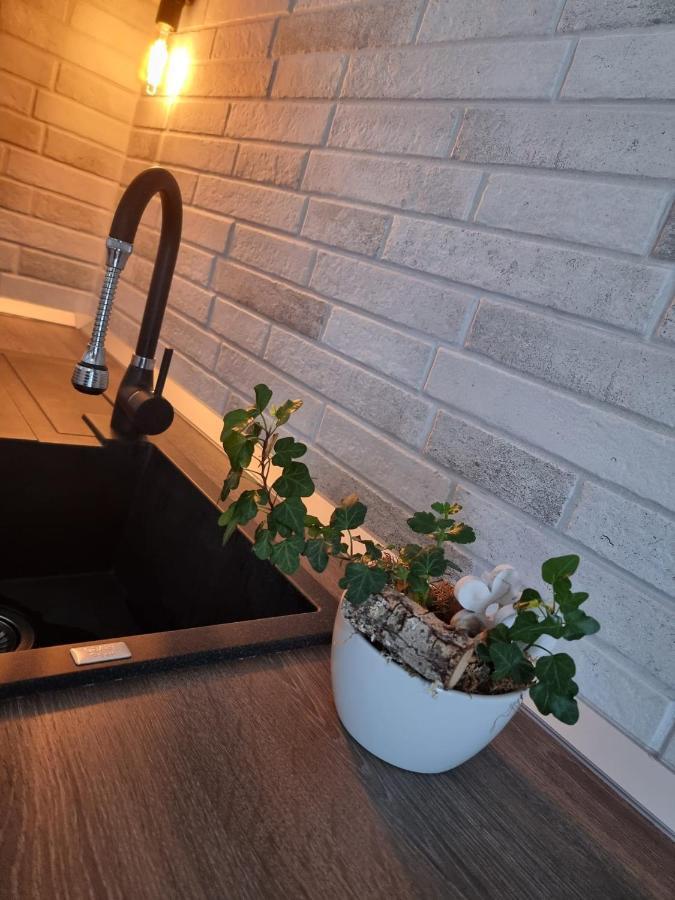 Apartmán The Cozy Bunker Sibiu Exteriér fotografie