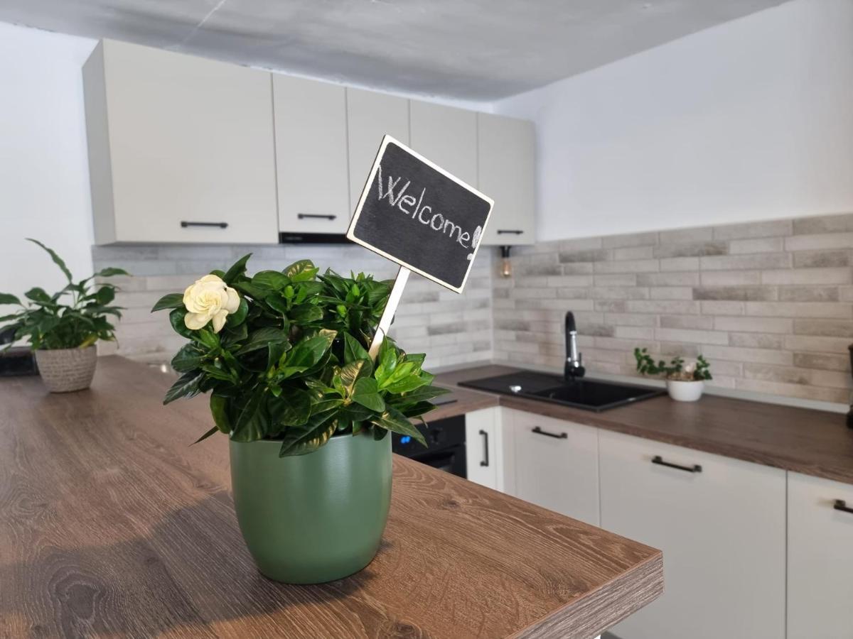 Apartmán The Cozy Bunker Sibiu Exteriér fotografie