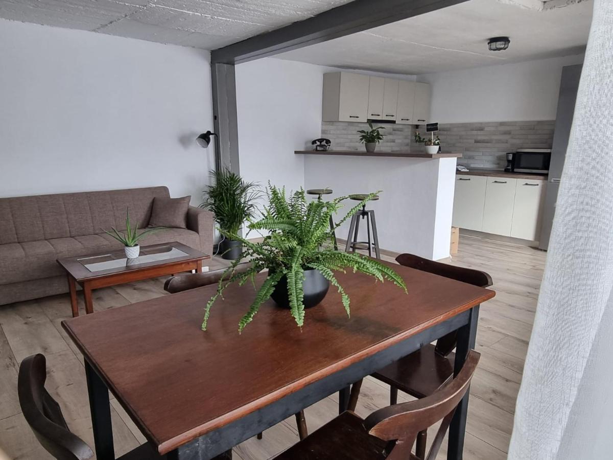 Apartmán The Cozy Bunker Sibiu Exteriér fotografie