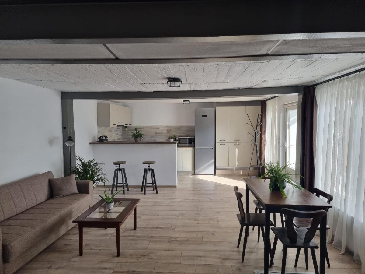 Apartmán The Cozy Bunker Sibiu Exteriér fotografie