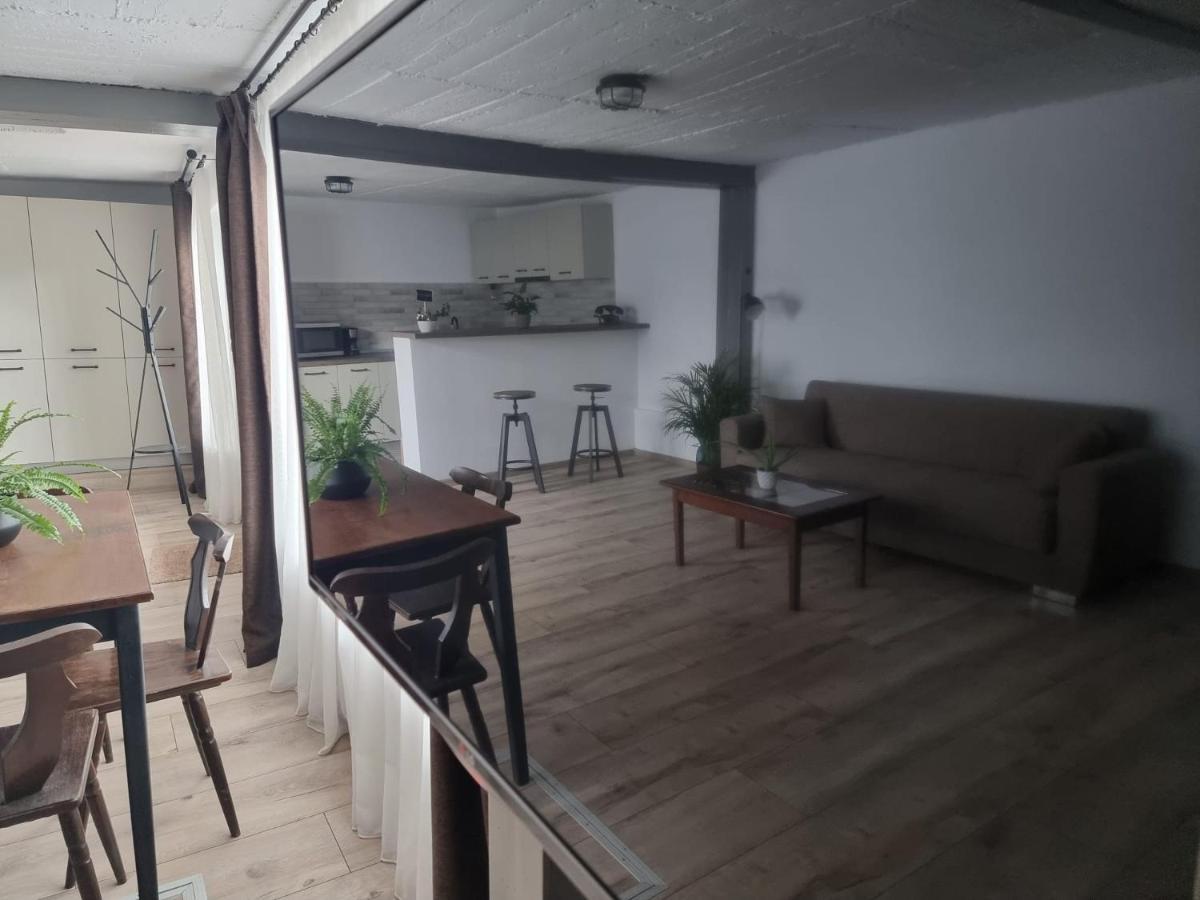 Apartmán The Cozy Bunker Sibiu Exteriér fotografie