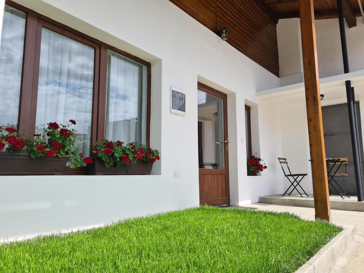 Apartmán The Cozy Bunker Sibiu Exteriér fotografie